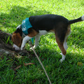 dsc00975_2969171537_o.jpg
